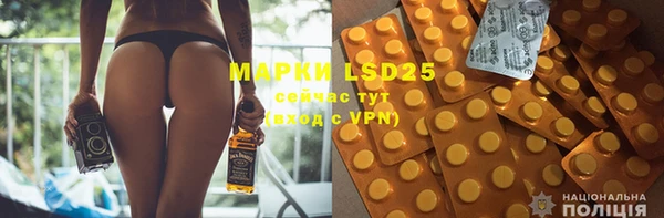 ГАЛЛЮЦИНОГЕННЫЕ ГРИБЫ Баксан