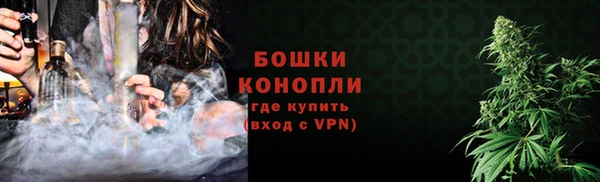 ГАЛЛЮЦИНОГЕННЫЕ ГРИБЫ Баксан