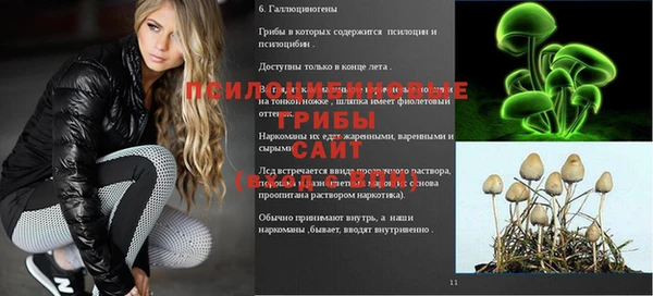 2c-b Балабаново