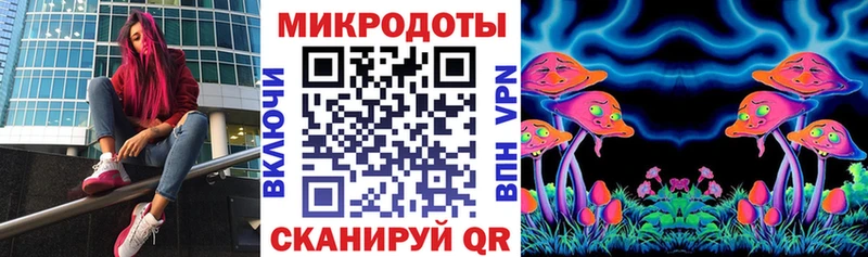 Псилоцибиновые грибы Psilocybe  Морозовск 